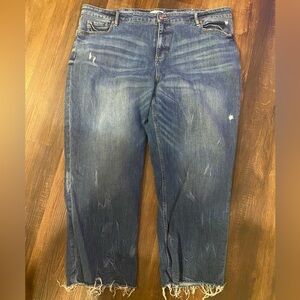 Loft, Plus size jeans